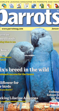Parrots - Issue 312 - 01.2024 - English