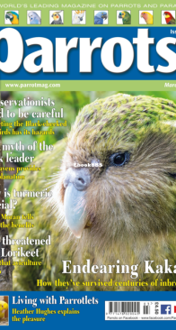 Parrots - Issue 290 - 03.2022 - English