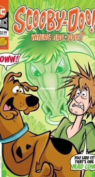 Scooby-Doo, Where Are You? 101 - DC Comics 2019 - Sholly Fisch - English