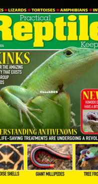 Practical Reptile Keeping 10.2024 - English