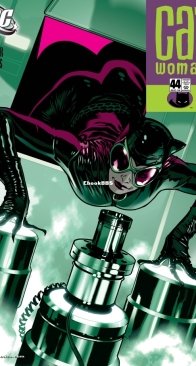 Catwoman Vol 3. 44 (of 83) - DC Comics 2005 - English