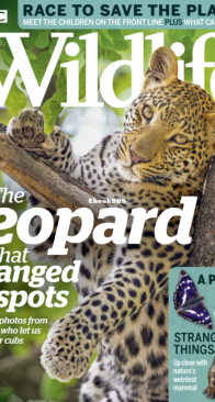 BBC Wildlife 2019 08 - English
