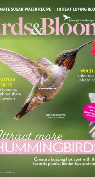 Birds and Blooms - 06-07.2025 - English