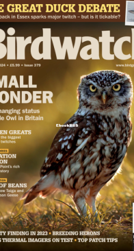 Birdwatch UK - Issue 379 - 01.2024 - English