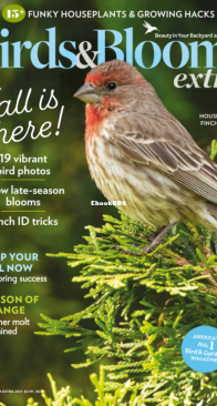 Birds and Blooms Extra - 11.2023 - English