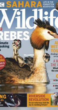 BBC Wildlife 2021 03 - English