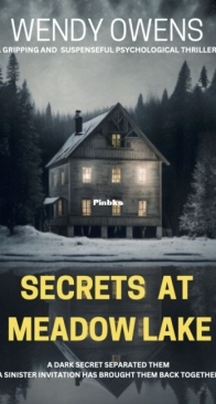 Secrets at Meadow Lake - Secrets Thriller 1 - Wendy Owens - English