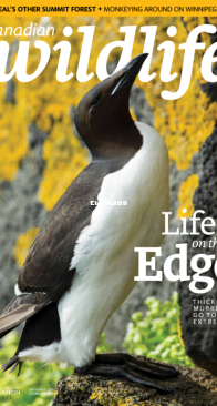 Canadian Wildlife 07-08. 2025 - English