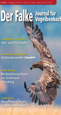 Der Falke – 10.2024 - German