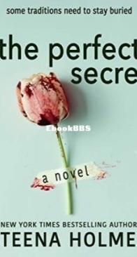 The Perfect Secret - Steena Holmes - English