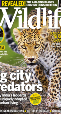 BBC Wildlife 2014 13 - English