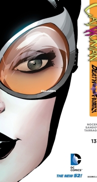 Catwoman Vol.4. 13 of (52) - DC Comics 2011 - English