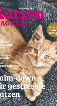 Katzen 1 - 01-02-2022 - German