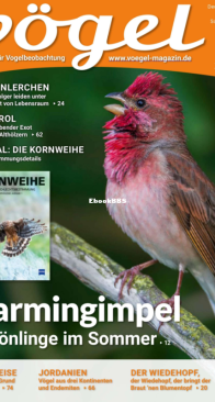 Vögel - Issue 58 – 3.2020 - German