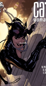 Catwoman Vol 3. 80 (of 83) - DC Comics 2008 - English