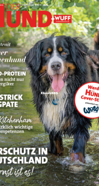 Der Hund - 09.2023 - German