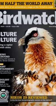 Birdwatch UK - Issue 389 - 11.2024 - English