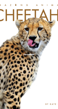 Cheetahs - Amazing Animals - Kate Riggs - English