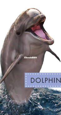 Dolphins (Spot Ocean Animals) - Mari Schuh - English