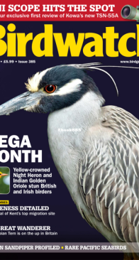 Birdwatch UK - Issue 385 - 07.2024 - English