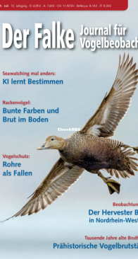 Der Falke – 07.2025 - German