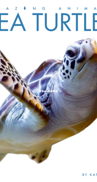 Sea Turtles - Amazing Animals - Kate Riggs - English