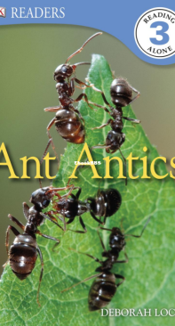 Ant Antics - DK Readers Level 3 - Deborah Lock - English