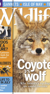 BBC Wildlife 2013 07 - English