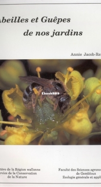 Abeilles Et Guêpes De Nos Jardins - Annie Jacob-Remacle - French