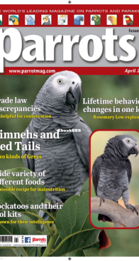 Parrots - Issue 303 - 04.2023 - English
