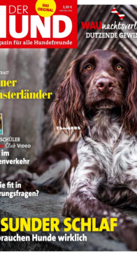 Der Hund - 01.2020 - German