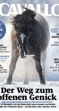 Cavallo - 01.2024 - German