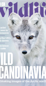 BBC Wildlife 2025 01 - English