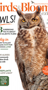 Birds and Blooms Extra - 11.2021 - English