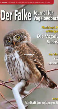 Der Falke – 09.2023 - German
