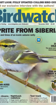 Birdwatch UK - Issue 365 - 11.2022 - English