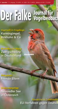 Der Falke – 09.2024 - German