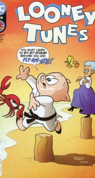 Looney Tunes 265 - DC Comics 2022 - English