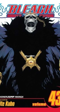 Bleach Colored 43 (of 74) - Viz 2012 - Tite Kubo - English