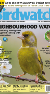 Birdwatch UK - Issue 346 - 04.2021 - English