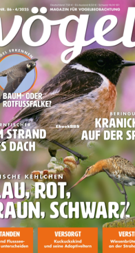 Vögel - Issue 86 – 4.2025 - German