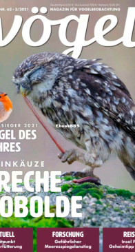 Vögel - Issue 62 – 3.2021 - German