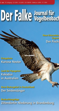 Der Falke – 06.2023 - German