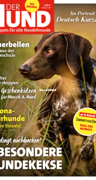 Der Hund - 12.2020 - German