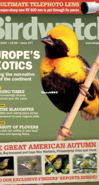 Birdwatch UK - Issue 377 - 11.2023 - English