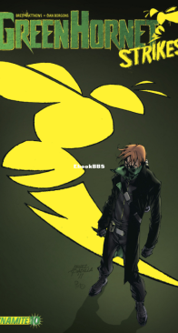 The Green Hornet Strikes 10 (of 10) - Dynamite 2012 - English