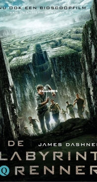 De Labyrintrenner - Labyrintrenner/Maze Runner 1 - James Dashner - Dutch