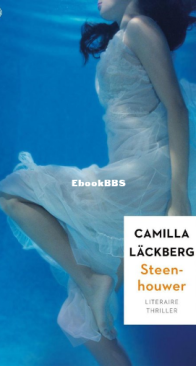 Steenhouwer - Fjällbacka 3 - Camilla Läckberg - Dutch