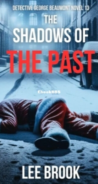 The Shadows of the Past - Detective George Beaumont 13 - Lee Brook - English
