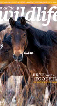 Canadian Wildlife 03-04. 2024 - English